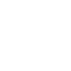 icon1